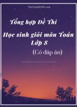 Tổng hợp Đề thi học sinh giỏi môn Toán Lớp 8 (Có đáp án)
